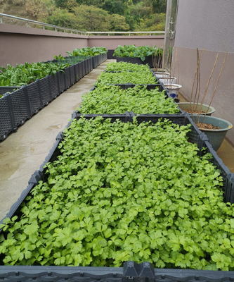 Da caixa plástica grossa do plantador do jardim do quintal 0.5mm-16.0mm vida útil longa
