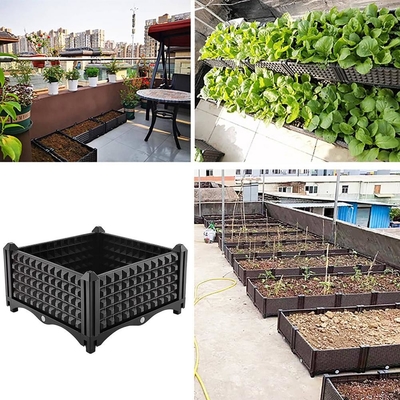 Os frutos da flor crescem o plantador plástico em resistente UV multifuncional das rodas