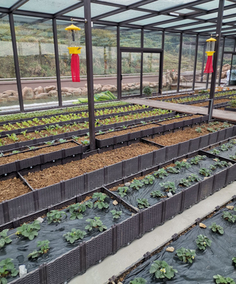 Caixas aumentadas plásticas 26CM altas impermeáveis do plantador para o peso leve das árvores de fruto