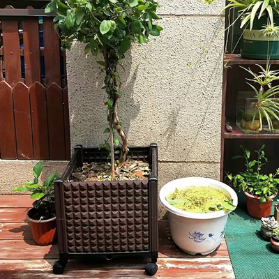 O plantador plástico do grande quadrado multifuncional encaixota camas de flor aumentadas plásticas do OEM