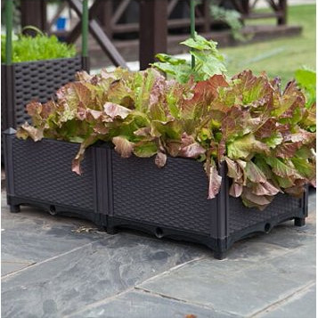 As amostras fáceis da degradação da caixa plástica longa customizável do plantador do jardim ofereceram