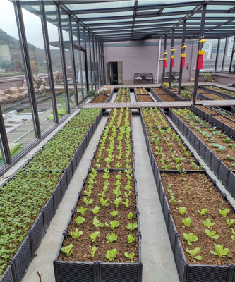 Caixa plástica elevado Multifunction do plantador para a resistência do tempo do crescimento vegetal