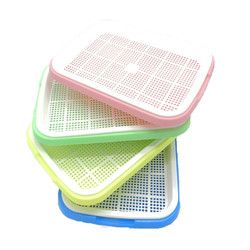 Broto hidropônico estático Tray Box da semente do agregado familiar um comprimento de 12,2 polegadas