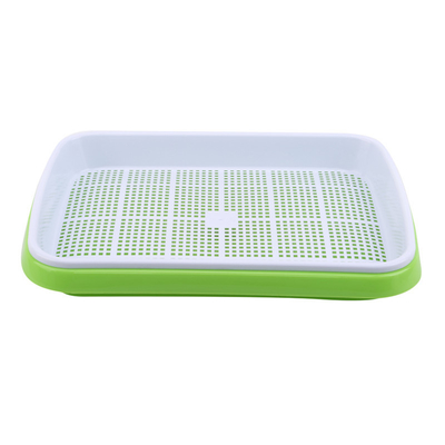 Broto transmissor claro Tray Seed Germination Box Flexible da semente