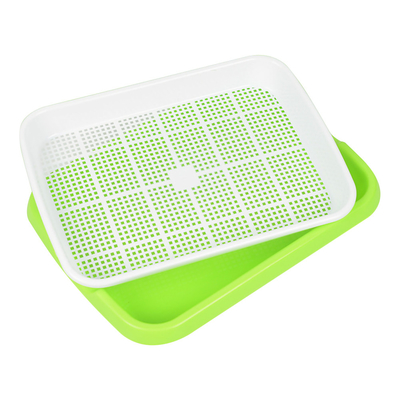 Broto transmissor claro Tray Seed Germination Box Flexible da semente