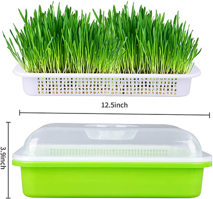 Broto transmissor claro Tray Seed Germination Box Flexible da semente