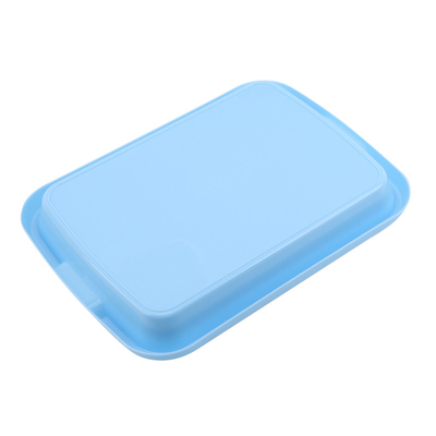 Cultivo retangular que planta o broto Tray Environmentally Friendly da semente