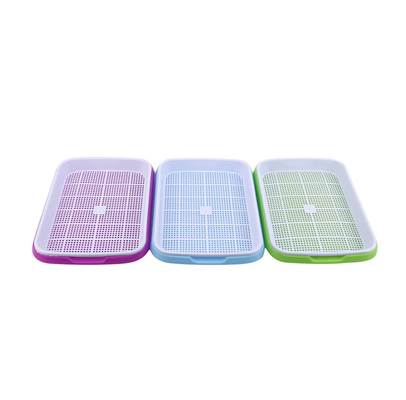 broto crescente Tray Biodegradable da semente da água plástica alta de 11cm