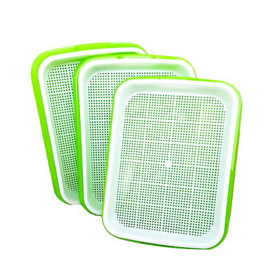 broto crescente Tray Biodegradable da semente da água plástica alta de 11cm