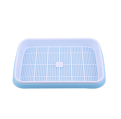 comprimento Bean Sprout Growing Tray Two Tray Sprouter No Leakage de 31cm