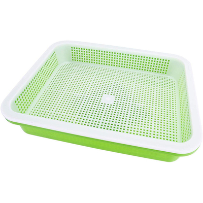 comprimento Bean Sprout Growing Tray Two Tray Sprouter No Leakage de 31cm