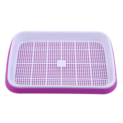 comprimento Bean Sprout Growing Tray Two Tray Sprouter No Leakage de 31cm