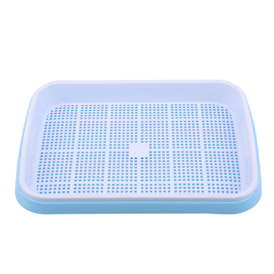 comprimento Bean Sprout Growing Tray Two Tray Sprouter No Leakage de 31cm