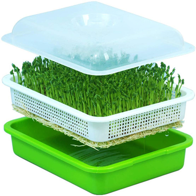 Broto interno Tray Eco Friendly da semente do polipropileno do cultivo da água