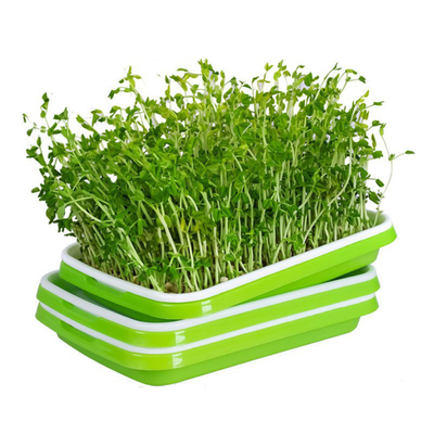 PP recicláveis Microgreen que brota bandejas com uso da cozinha da tampa da tampa