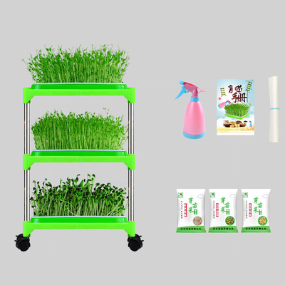 Plântula hidropônica interna Tray Stand For Family Corrosion dos Pp resistente