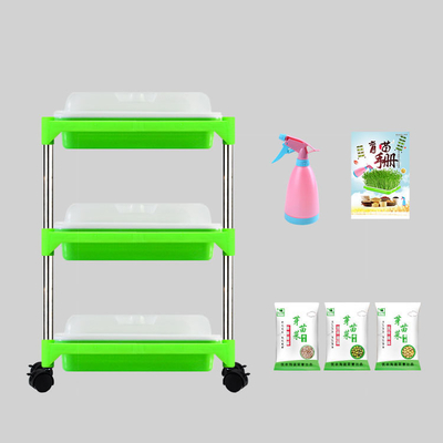 Plântula hidropônica interna Tray Stand For Family Corrosion dos Pp resistente