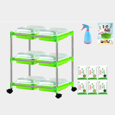 Plântula hidratando vegetal Tray Stand For Nursery do produto comestível do GV