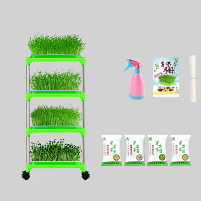 Plântula revestida Tray Stand Mung Bean Sprouting Tray Environment do PE amigável