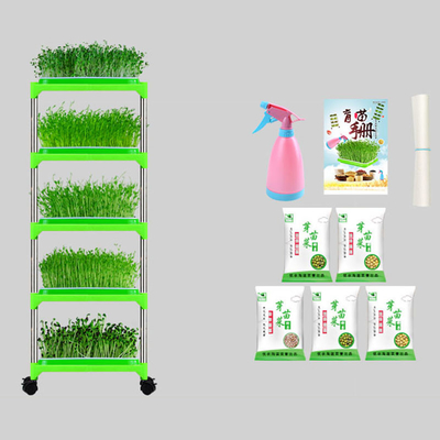 Plântula revestida Tray Stand Mung Bean Sprouting Tray Environment do PE amigável
